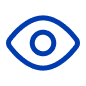 Vision Icon
